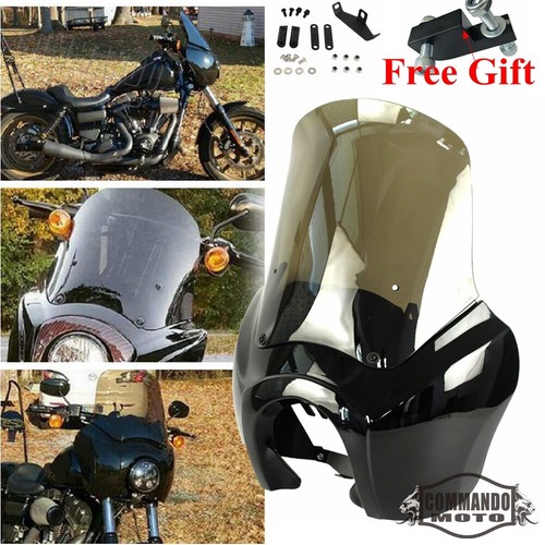 Headlight fairing windshield - headlight,