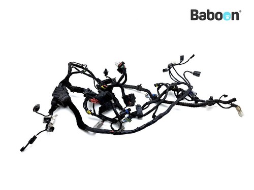 Wiring harness - wiring,